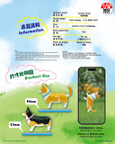 Mini Fext 9th Blind Box Series【1:12 Lovely Corgi】 ── 1:12 可愛哥基